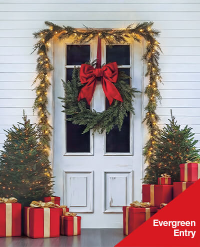 Holiday Supporting Web Assets-Background Image-400x495