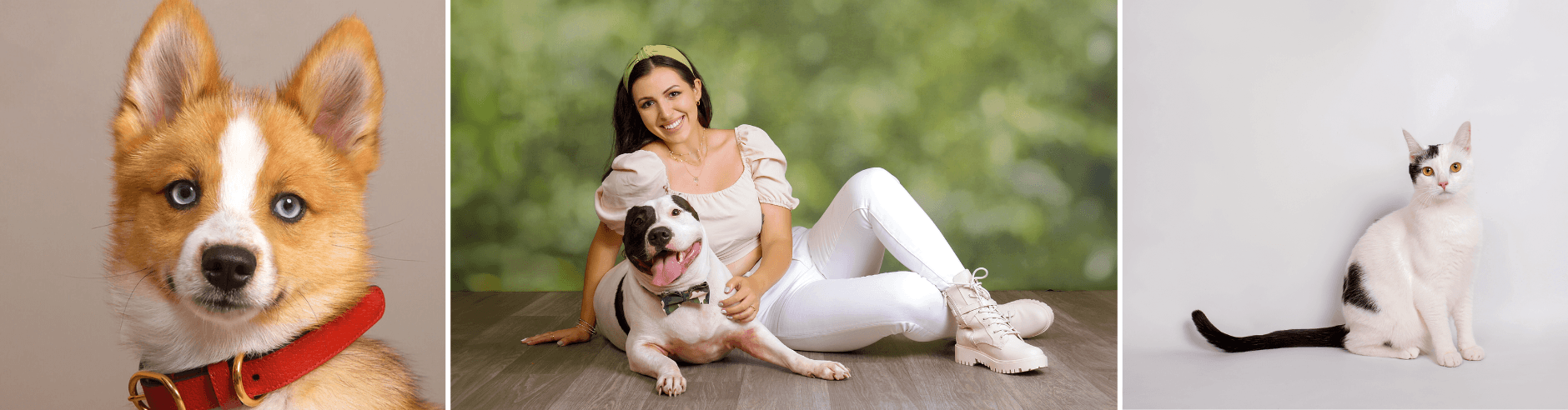 Dog and cat photography at JCPenney Portraits.