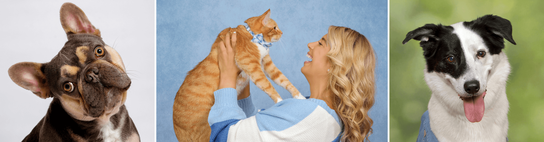 Professional dog and cat photography at JCPenney Portraits.