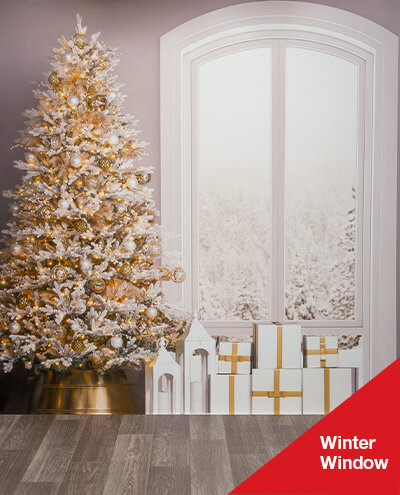 Winter Window-Background Gallery Image-400x495