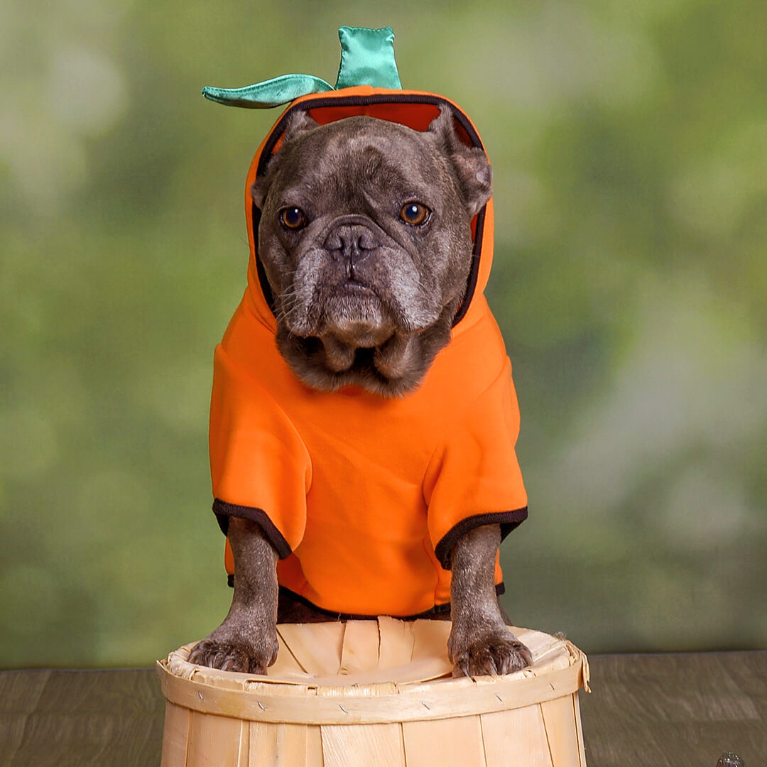 Halloween-Web Asset-Gallery Image 2-1080x1080