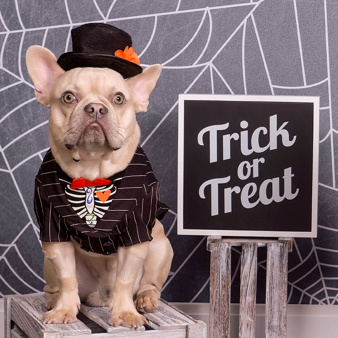 Halloween-Web Asset-Gallery Image 3-1080x1080