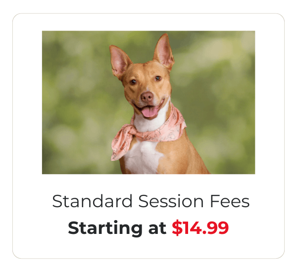 Session fee pricing for pet photography at JCPenney Portraits.
