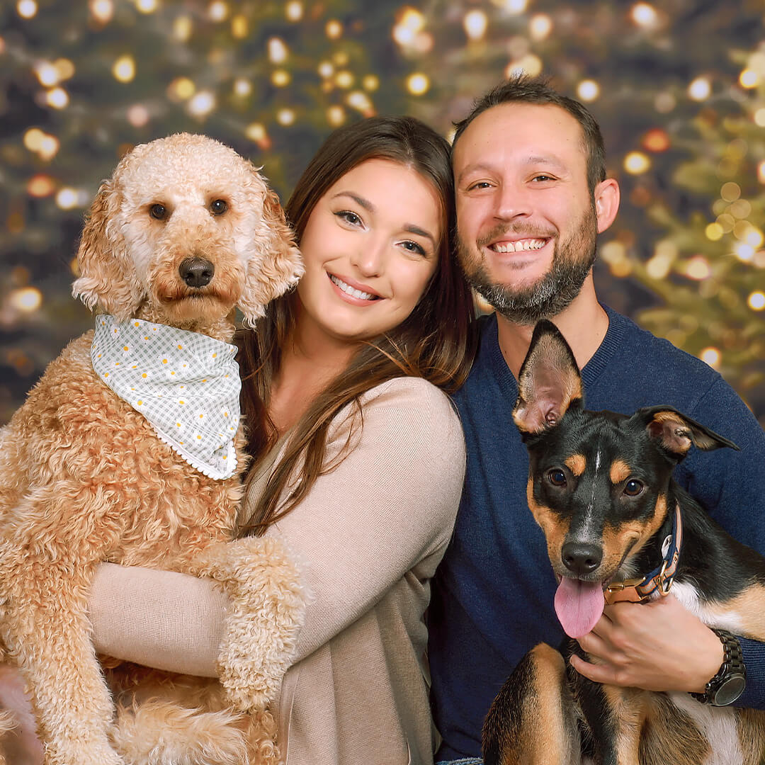 https://jcpportraits.com/holiday-backgrounds/